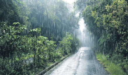 Погодные условия на вегетационный период 2024 года на юге УрФО