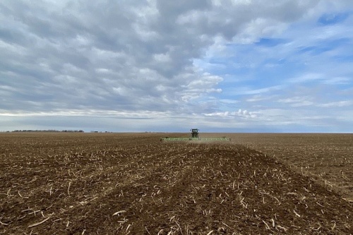 В Кировской области завершен массовый сев яровых зерновых