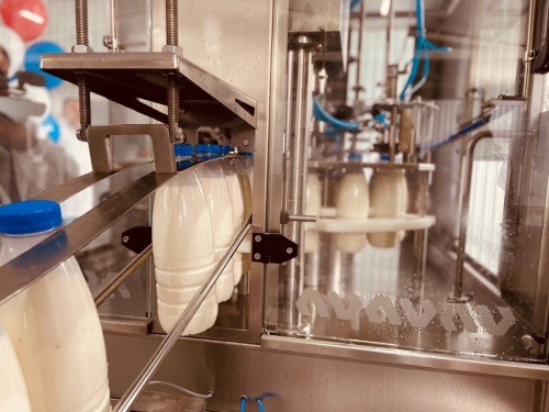 Ульяновское хозяйство расширяет производство молока
