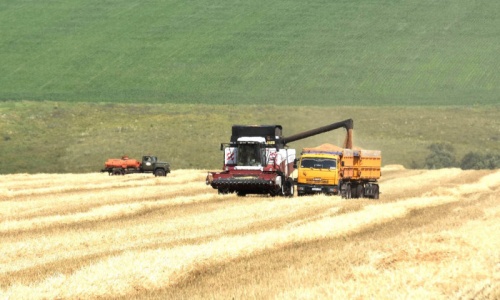 В Башкортостане намолотили почти 100 тысяч тонн зерна
