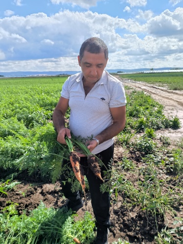 В Красноярском крае начинающие фермеры получат гранты