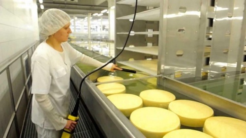 Башкирский производитель отправил партию сыра в Европу