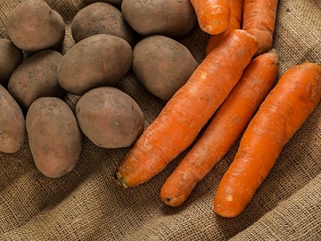 В Чувашии призвали ускориться с уборкой овощей и картофеля