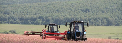 Красноярские сельхозкооператоры получили поддержку