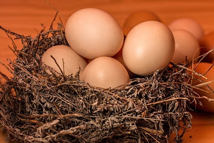 В Татарстане произвели 1 млрд 570 млн штук яиц