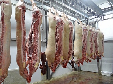 Курганская область наращивает производство свинины и курятины
