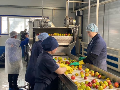 В Пензенской области развивается переработка плодов