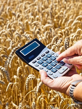 На льготные кредиты аграриям направят 20 млрд рублей