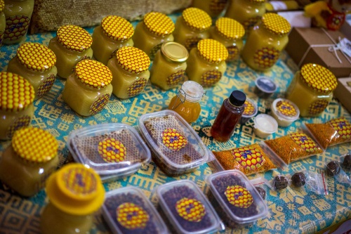 В Башкирии проводятся зональные семинары для пчеловодов