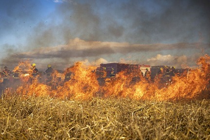 Аграрии Курганской области готовятся пожароопасному сезону
