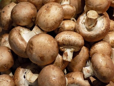 Удмуртия увеличила поставки грибных субстратов в Беларусь 
