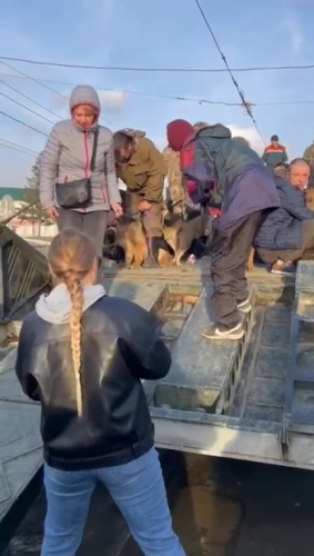 В Оренбуржье спасают животных из зон затопления