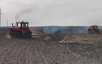 В Саратовской области начали сеять пшеницу