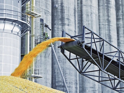 В Татарстане создадут крупный зерновой хаб для экспорта