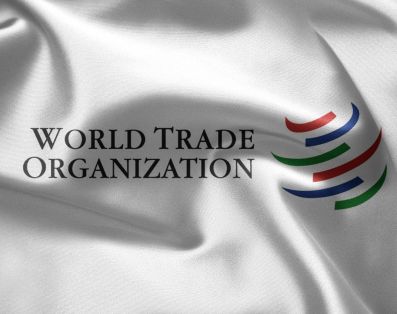 Проблемы функционирование и развития зауральского АПК в условиях ВТО