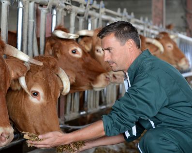 В Красноярском крае стартует заявочная кампания на предоставление фермерских грантов