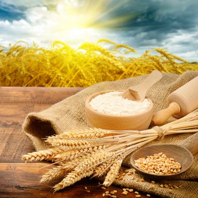 Обзор зернового рынка с 9 по 16 мая