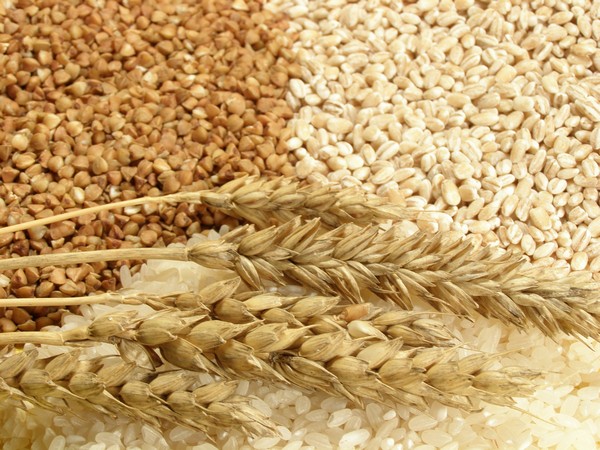 На  российском зерновом рынке сохраняется положительная динамика цен  