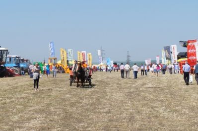 В Республике Мордовия прошла выставка "День поля 2014"