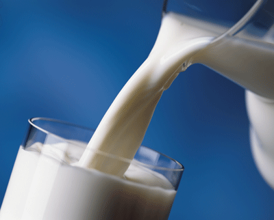 В Курганской области за сутки продано 203 тонны молока