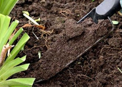 Эффективность минимализации обработки почвы