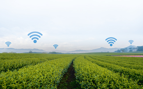 Интернет вещей  в сельском хозяйстве