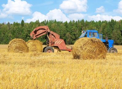 Сельхозпроизводители Томской области ведут заготовку кормов для животноводства
