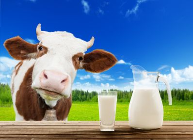 Среднесуточный надой от коровы в Саратовской области составил 15,3 кг