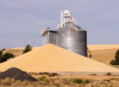 Намолочено почти 11 млн. тонн зерна
