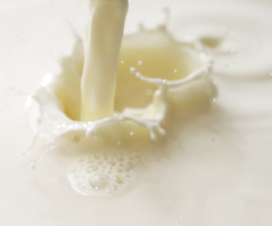 В России ввели временное ограничение на поставку молочной продукции из Украины