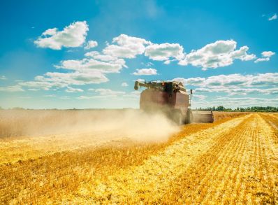 В Чувашии скошено 13,2 процента всей уборочной площади зерновых
