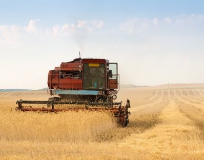 15 районов Алтайского края приступили к уборке зерновых и зернобобовых