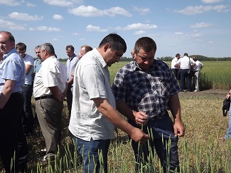 В Омской области третий День фермера собрал более 100 аграриев