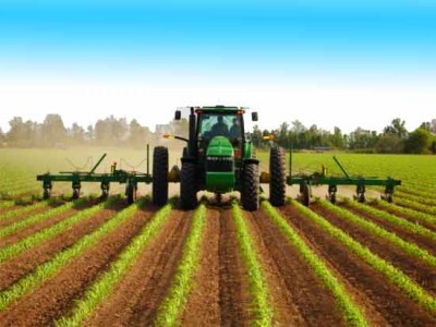 Эффективность гербицидов в сочетании с удобрениями на яровой пшенице