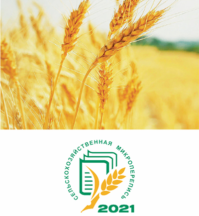 Подведены итоги сельскохозяйственной микропереписи в России