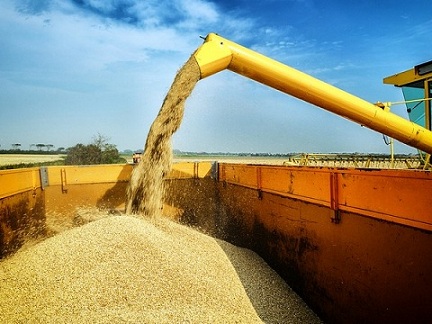 Казахстан ввел запрет на ввоз пшеницы автотранспортом