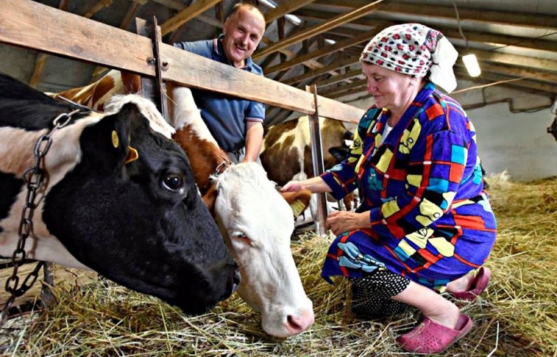 В Челябинской области гранты получат 13 семейных ферм