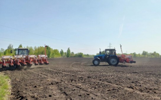 Три района Новосибирской области выполнили план сева