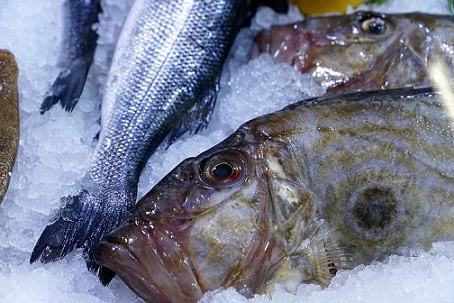 Россия увеличила экспорт рыбы