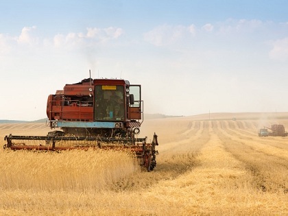 В Казахстане намолотили 2,8 млн тонн зерна