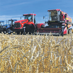 Возделывания пшеницы в условиях меняющегося климата