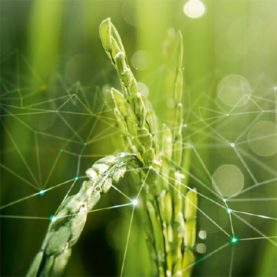 Цифровизация сельхозтехники – по единому стандарту