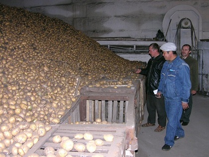 В Казахстане сформирован запас овощей для регулирования рынка