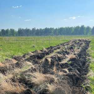 Томские фермеры вводят земли в сельхозоборот