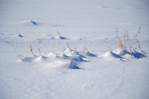 Снегопады помогут уральским аграриям увеличить урожай