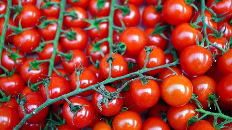 В Прикамье увеличился ввоз томатов из Казахстана