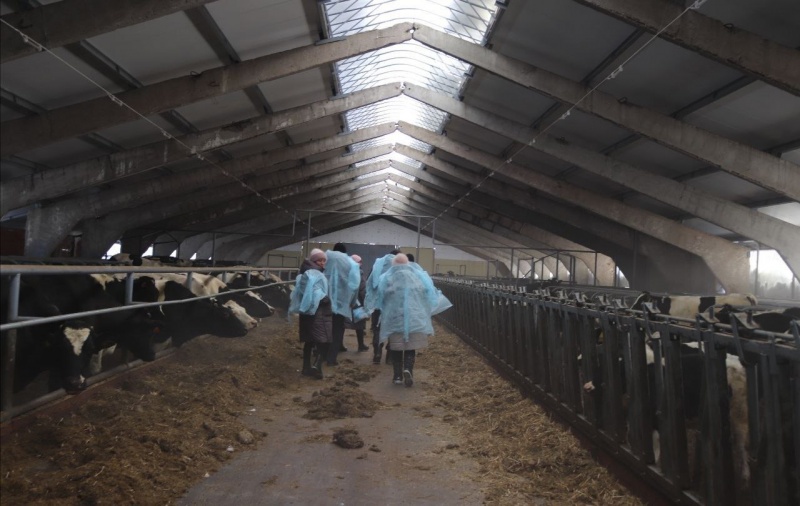 В Удмуртии открылась новая молочно-товарная ферма