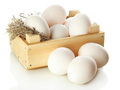 Саратовская область наращивает производство яиц
