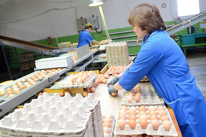 В Кировской области подешевели говядина, свинина и яйцо