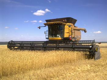 В новых регионах урожайность зерновых выросла на 27%